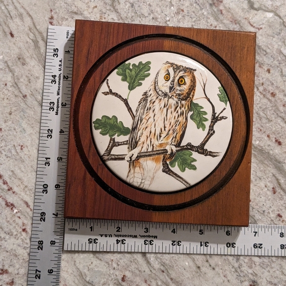 Vintage SQ. Wood Framed Round Ceramic Owl Tile Wall Decor Cabin Brown & White - Picture 6 of 7